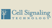 Cell Signaling