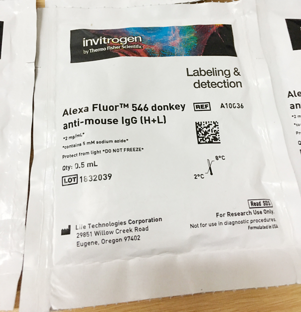 AlexaFluor荧光二抗invitrogen产品图片1